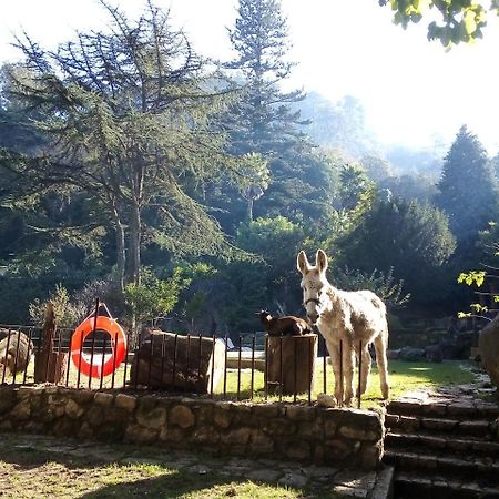 Hotel Quinta Do Castanheiro Sintra Zewnętrze zdjęcie