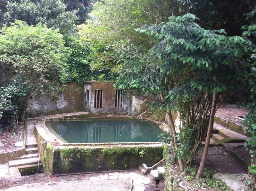 Hotel Quinta Do Castanheiro Sintra Zewnętrze zdjęcie