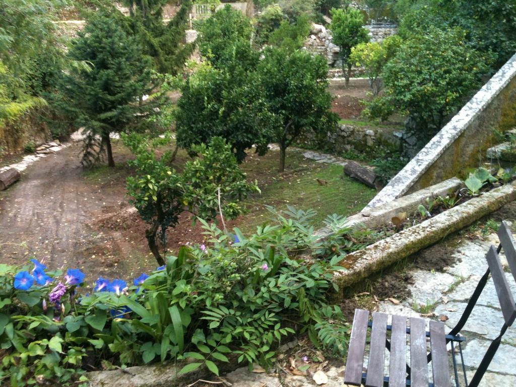 Hotel Quinta Do Castanheiro Sintra Zewnętrze zdjęcie