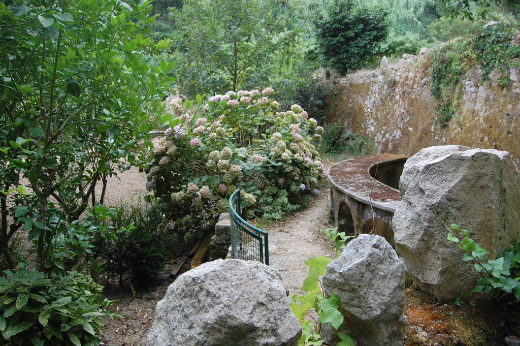 Hotel Quinta Do Castanheiro Sintra Zewnętrze zdjęcie