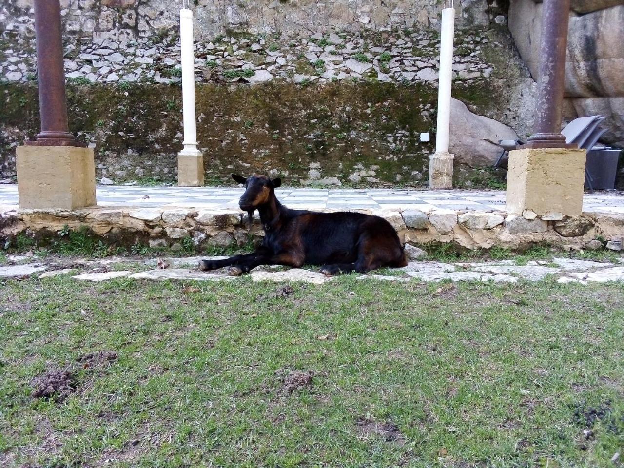 Hotel Quinta Do Castanheiro Sintra Zewnętrze zdjęcie